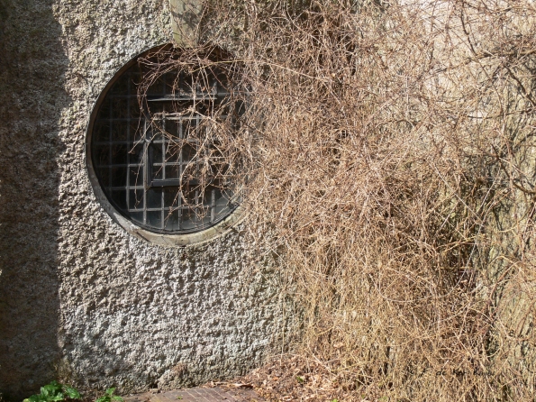 Bois des Moutiers (60) mars 2012